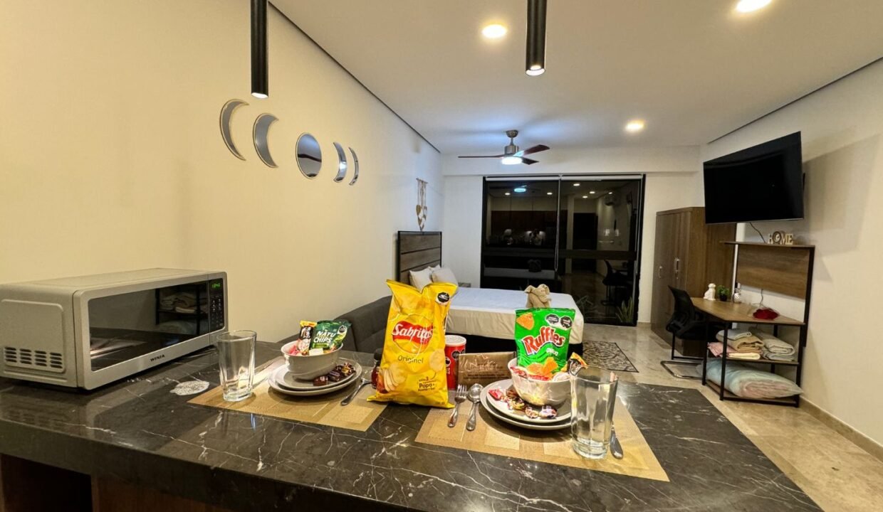 Apartment for Sale In Tulum Mexico (14)